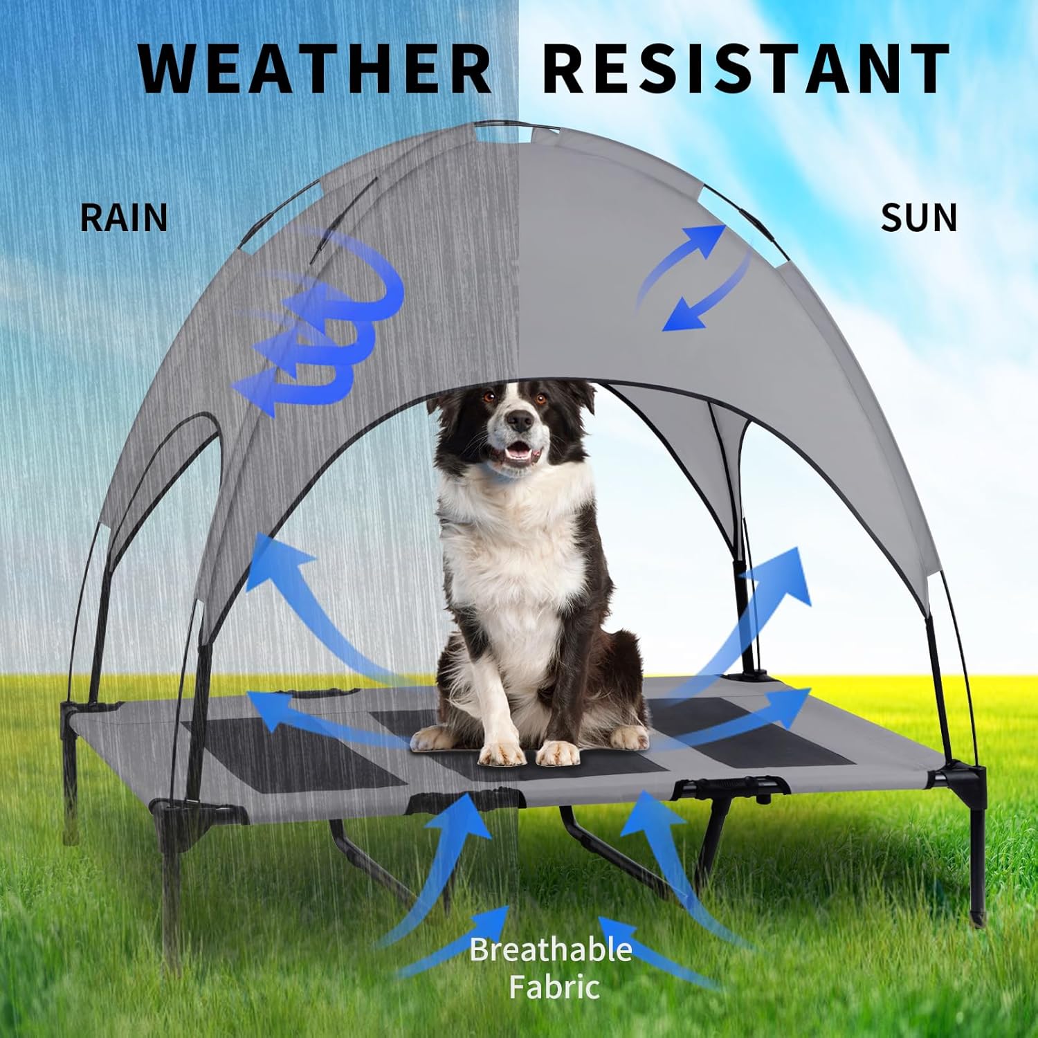 ShadePaws Elevated Dog Bed with Removable Canopy