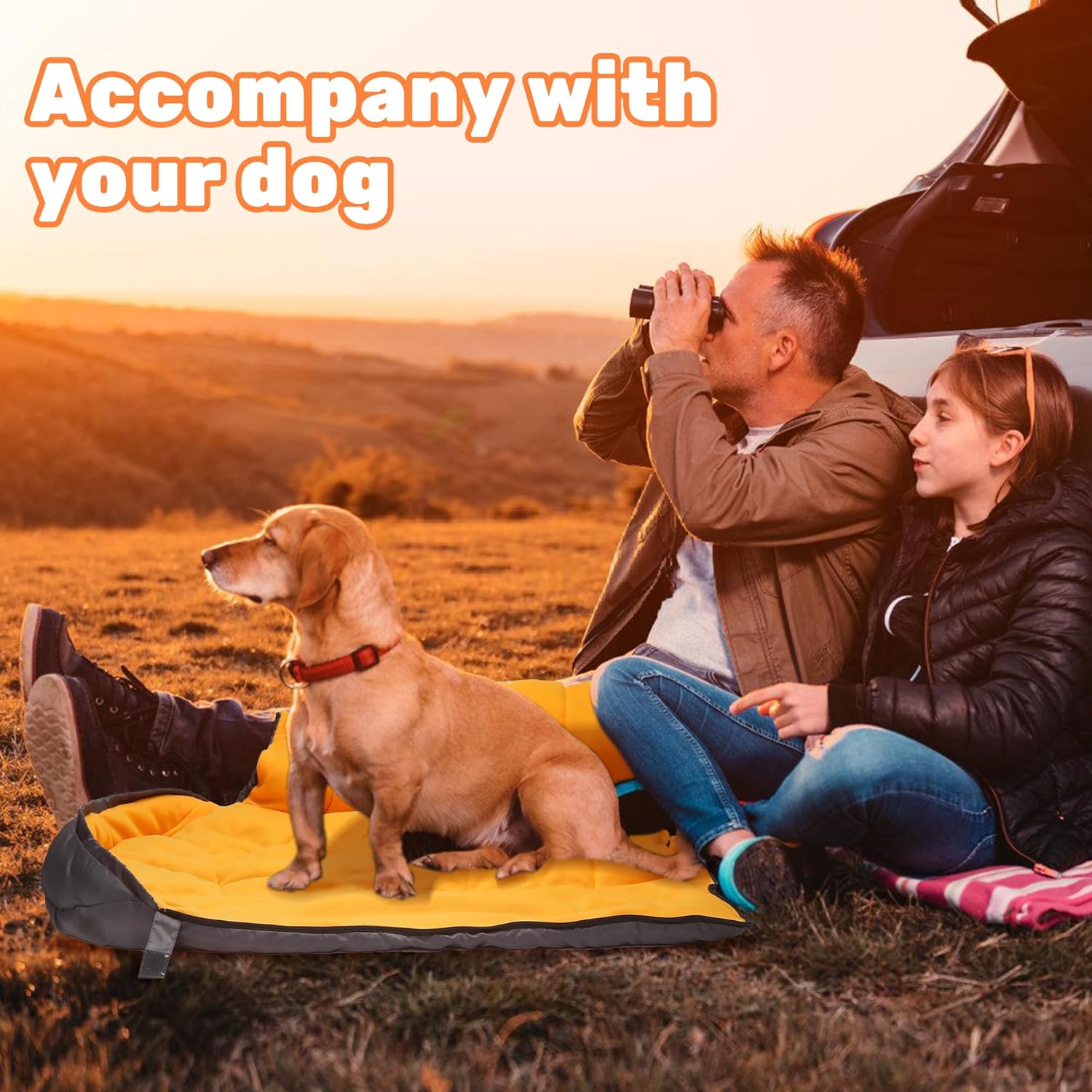 PawNest Packable Dog Sleeping Bag