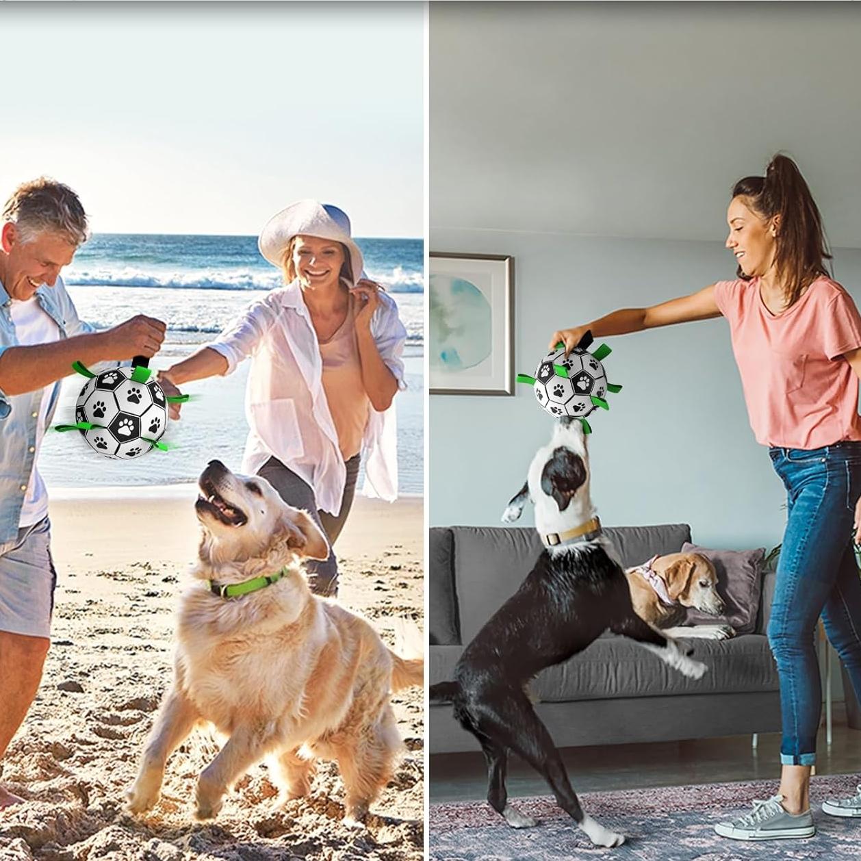 PawKick Dog Soccer Ball