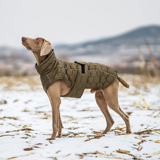 PortaPup Insulated Dog Jacket