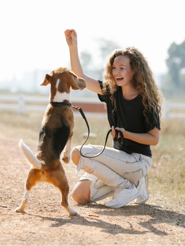 Woman playing with a dog in an open field