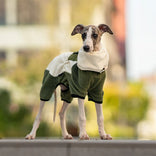 A dog model wearing a winter dog coat outdoors, designed to provide warmth and protection in cold weather. The insulated dog coat covers the chest and core area, helping retain body heat while allowing natural movement. Ideal for winter walks, outdoor activities, and cold-weather adventures, this dog coat combines comfort, fit, and functional warmth.