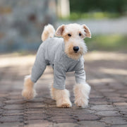 Dog bodysuit