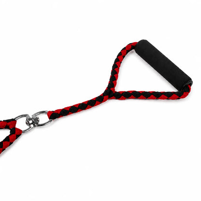 Tangle-Free Braided Dual Dog Leash