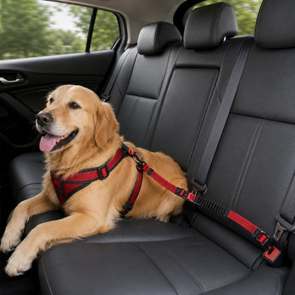 6-in-1  Multi-Function Elastic Dog Leash