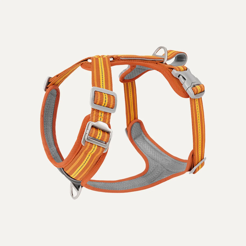 Dual-Handle Anti-Slip Dog Harness