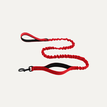 Elastic Tactical Dog Leash with Dual Handles