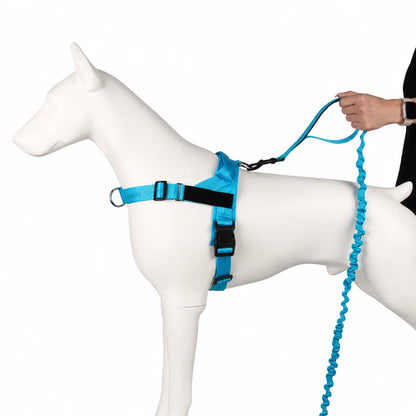 Elastic Tactical Dog Leash with Dual Handles