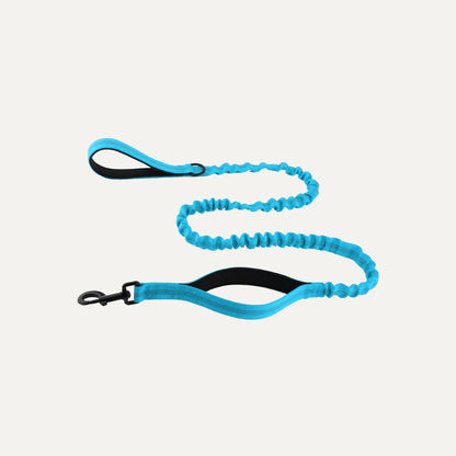 Elastic Tactical Dog Leash with Dual Handles