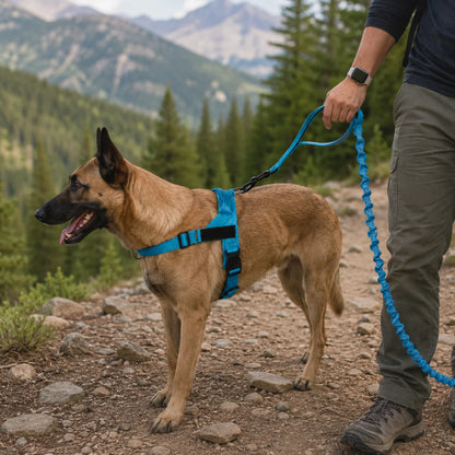Elastic Tactical Dog Leash with Dual Handles