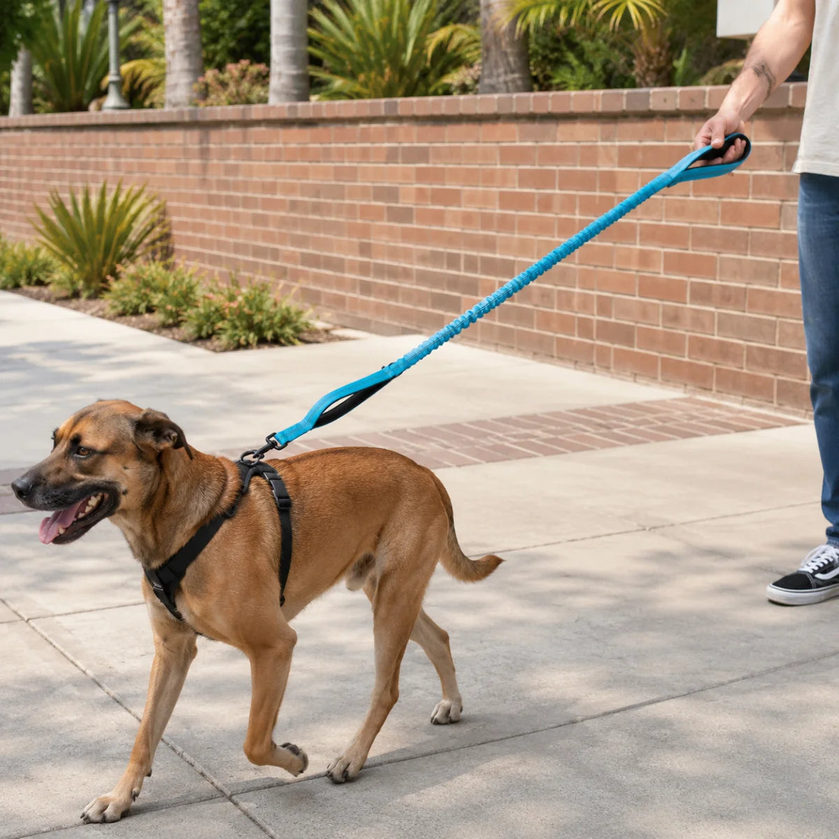 Elastic Tactical Dog Leash with Dual Handles