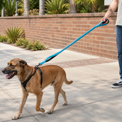 Elastic Tactical Dog Leash with Dual Handles
