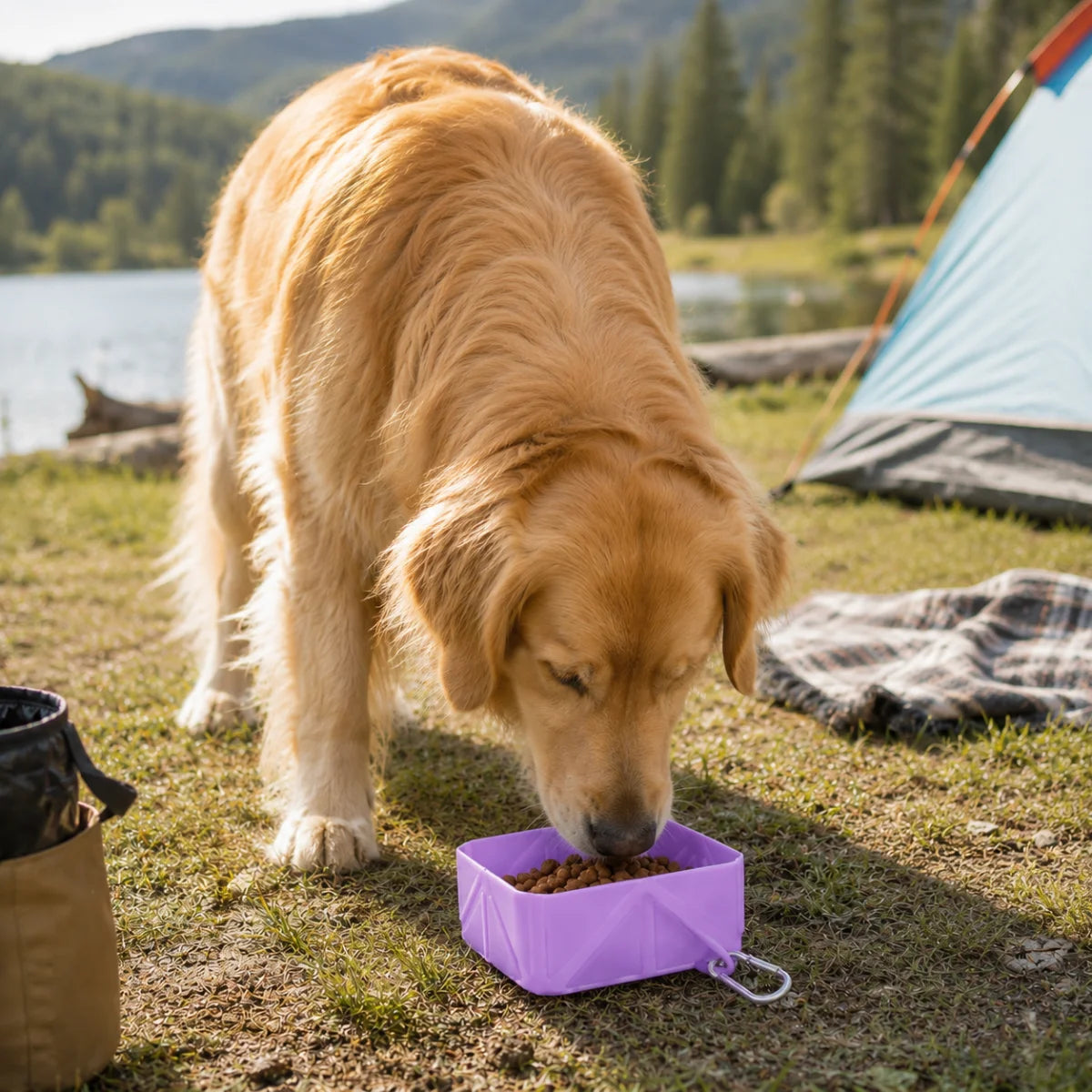 Hanging Silicone Collapsible Dog Bowl