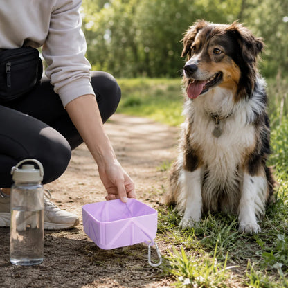 Hanging Silicone Collapsible Dog Bowl