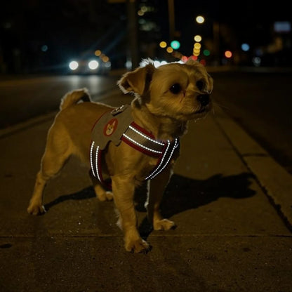 No-Pull Reflective Dog Harness