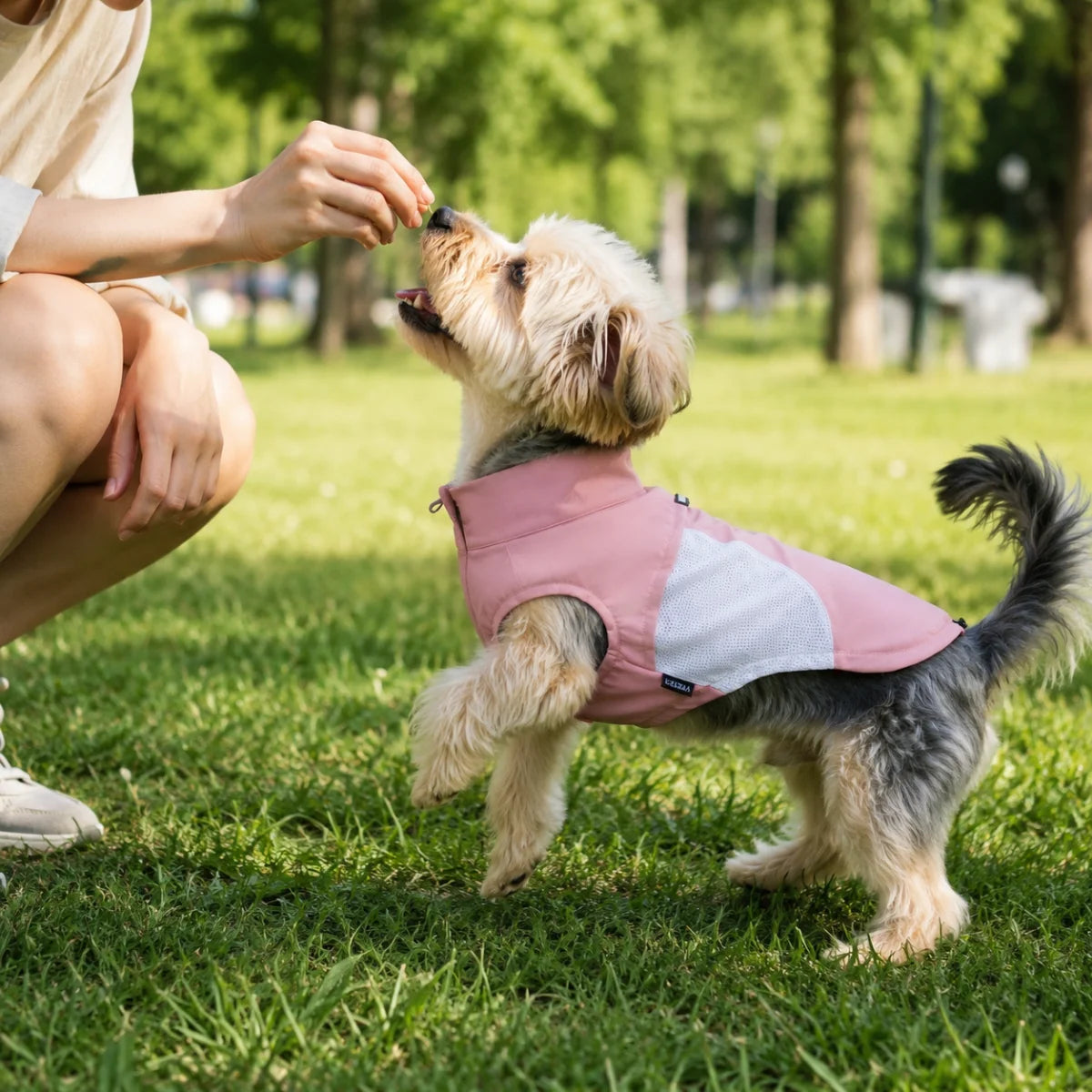 Quick-Dry Mesh Reflective Dog Sun Vest