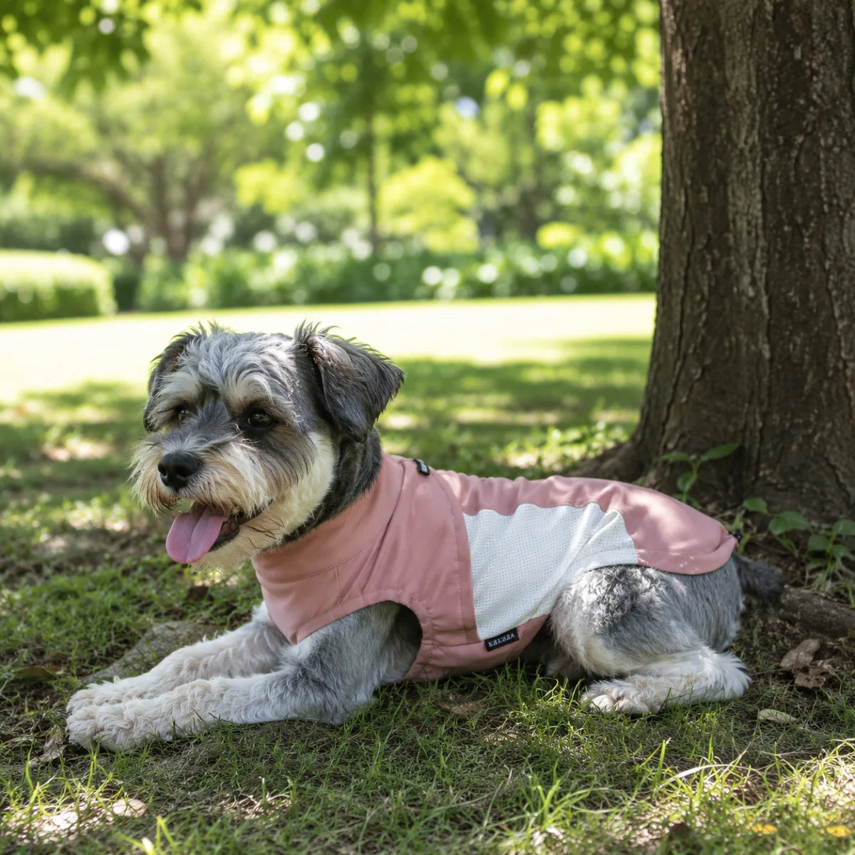 Quick-Dry Mesh Reflective Dog Sun Vest