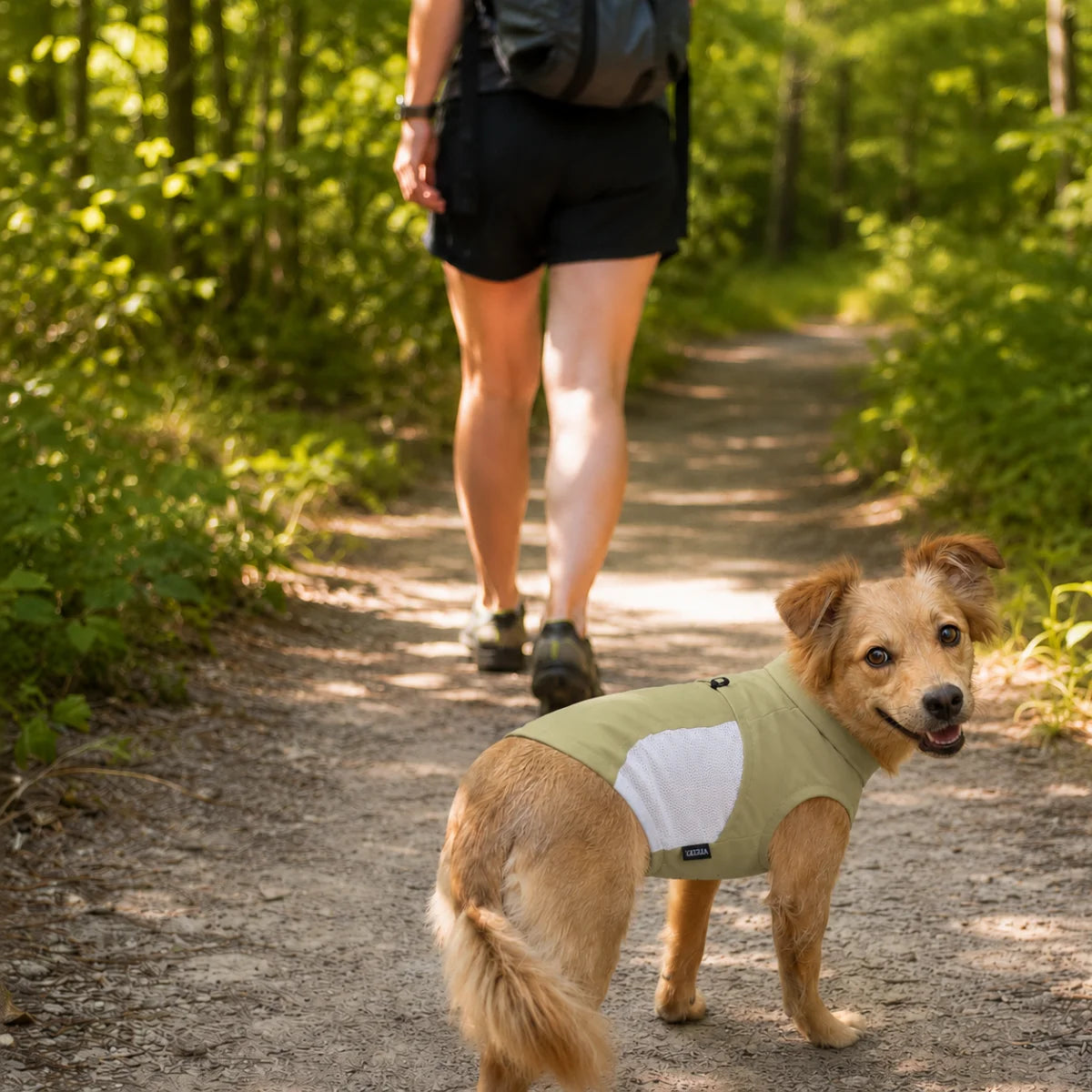 Quick-Dry Mesh Reflective Dog Sun Vest