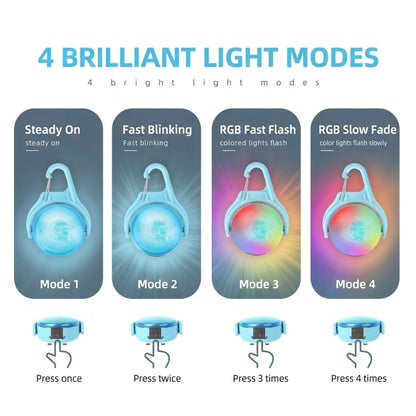 Rechargeable Waterproof LED Dog Safety Light