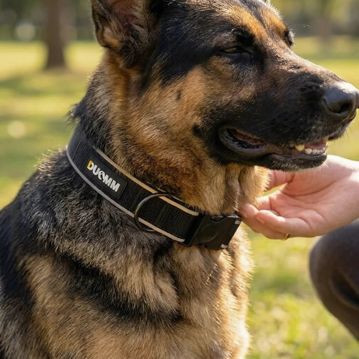 Reflective Adjustable Nylon Dog Collar