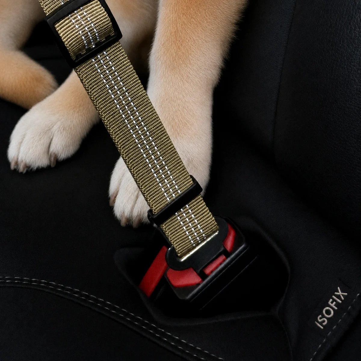 Shock-Absorbing Dog Seatbelt Leash