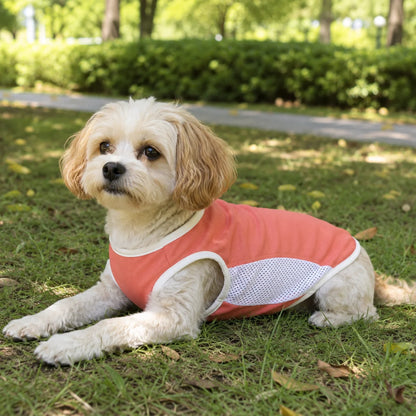 Summer Cooling Mesh Dog Vest