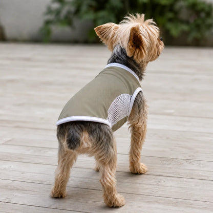 Summer Cooling Mesh Dog Vest