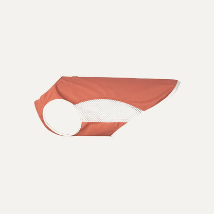 Summer Cooling Mesh Dog Vest