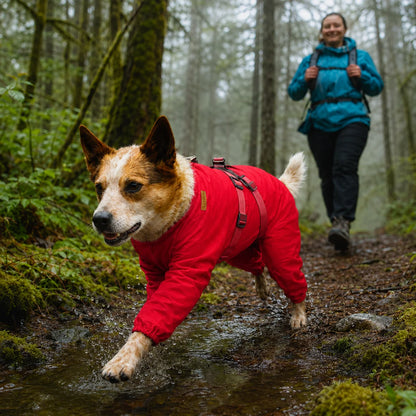 Waterproof Full-Coverage Dog Raincoat