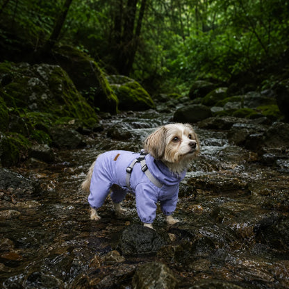 Waterproof Full-Coverage Dog Raincoat