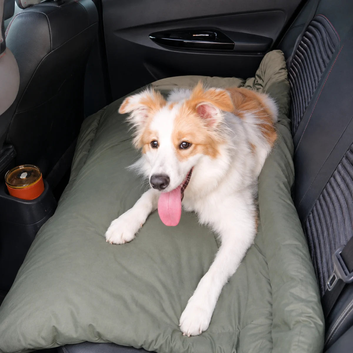 Foldable Waterproof Pet Camping Mat