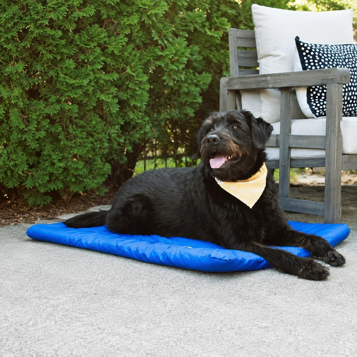 Foldable Waterproof Pet Camping Mat