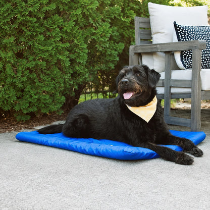 Foldable Waterproof Pet Camping Mat