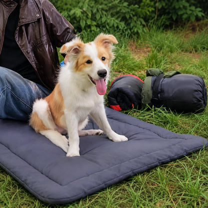 Foldable Waterproof Pet Camping Mat