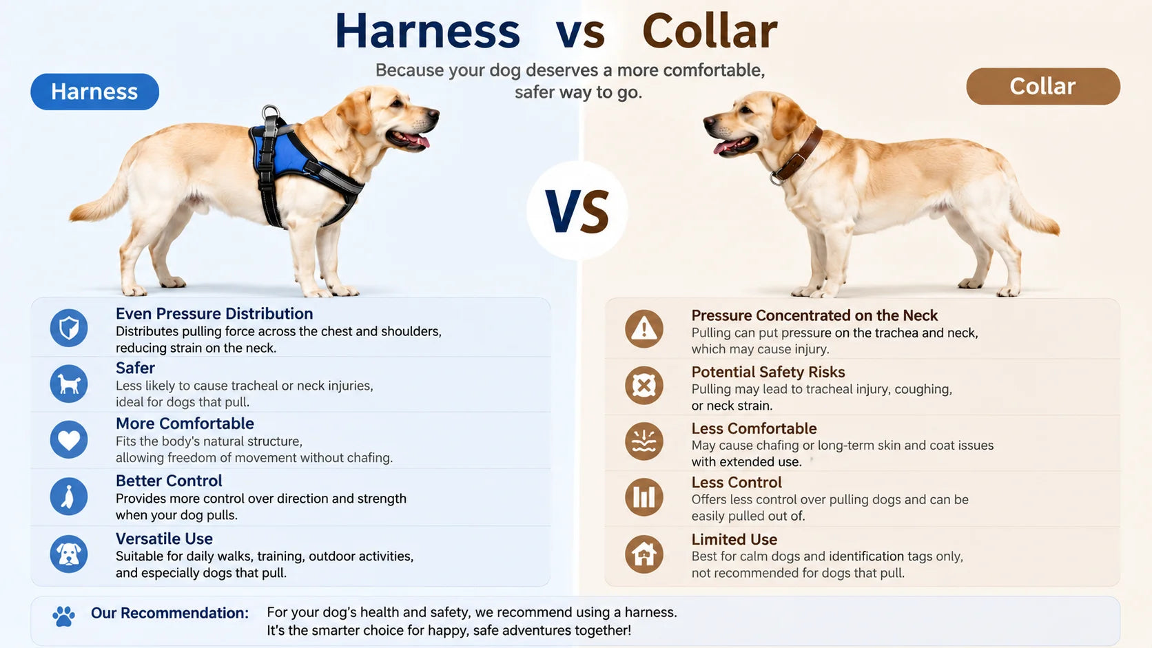 A comparison of a harness and a collar, including their pros and cons and recommended uses
