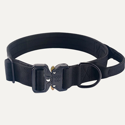 Heavy-Duty Tactical Dog Collar