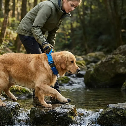Heavy-Duty Tactical Dog Collar