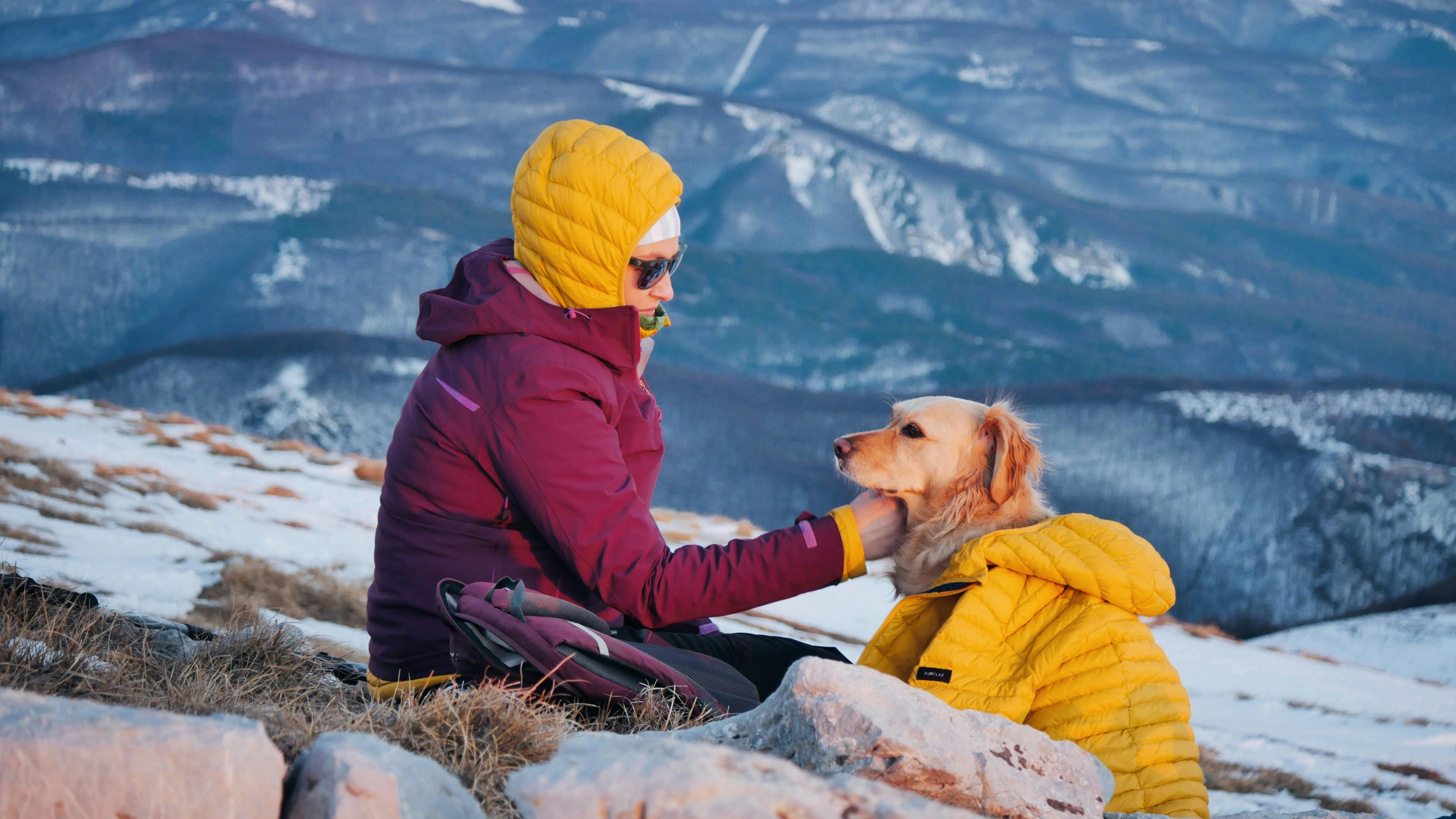 A dog wearing a warm, functional dog coat stands confidently with its owner on a mountain summit, enjoying the fresh air after an outdoor adventure. The dog coat provides essential insulation against cold wind and low temperatures, helping the dog stay warm, comfortable, and happy in challenging outdoor conditions. Designed for active outdoor use, this dog coat supports freedom of movement while delivering reliable warmth, making it ideal for hiking, travel, and winter adventures with your dog.