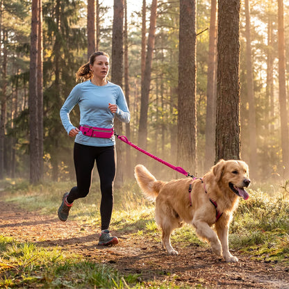 Reflective Hands-Free Running Dog Leash