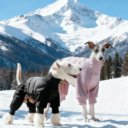 Two dogs wearing Howoll’s The Full-Body Dog Puffer Suit are standing at the base of a snowy mountain.