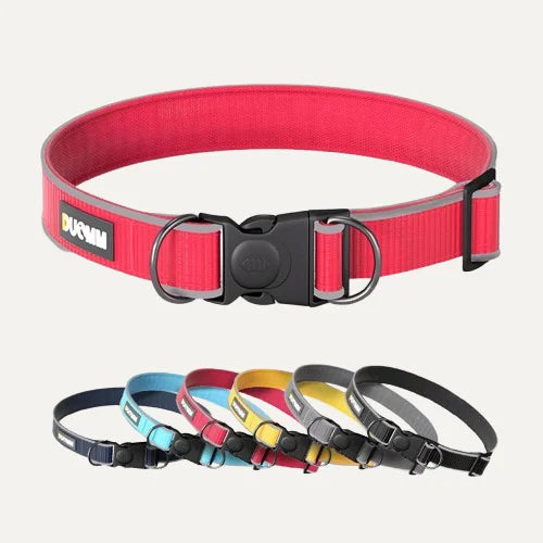 Dog Collar Showcase Images