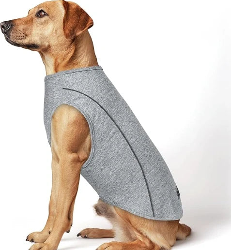 A golden retriever wearing a quick-dry vest with a white background design