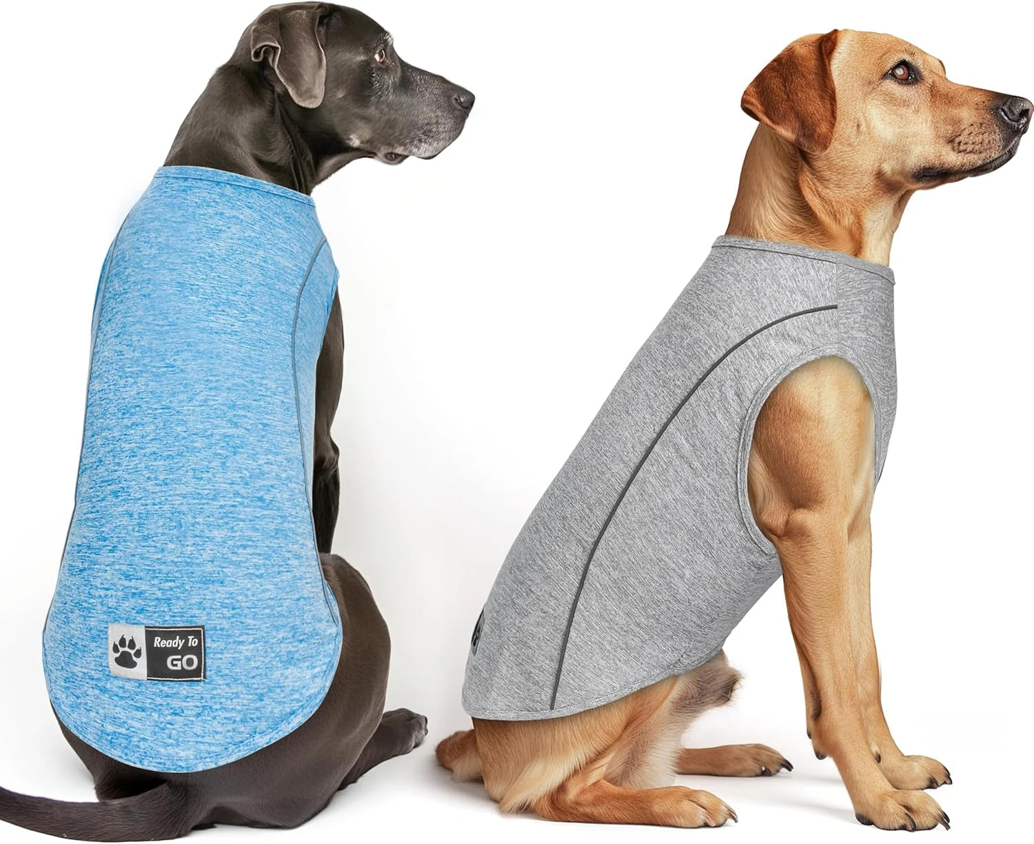 Two golden retrievers wearing blue and gray quick-dry vests on a white background