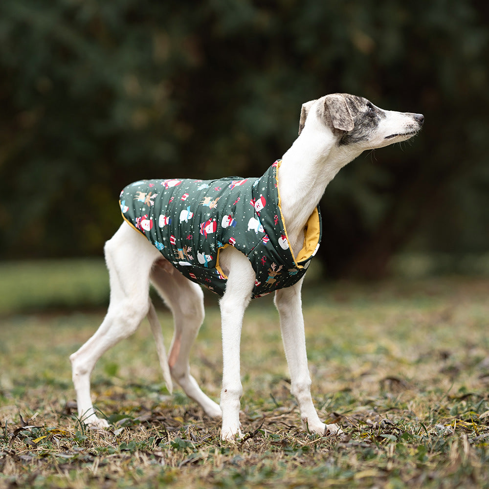 JoyPaw Reversible Dog Vest