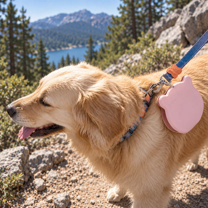 Portable Collapsible Slow Feeder Double Dog Bowl