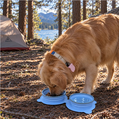 Portable Collapsible Slow Feeder Double Dog Bowl