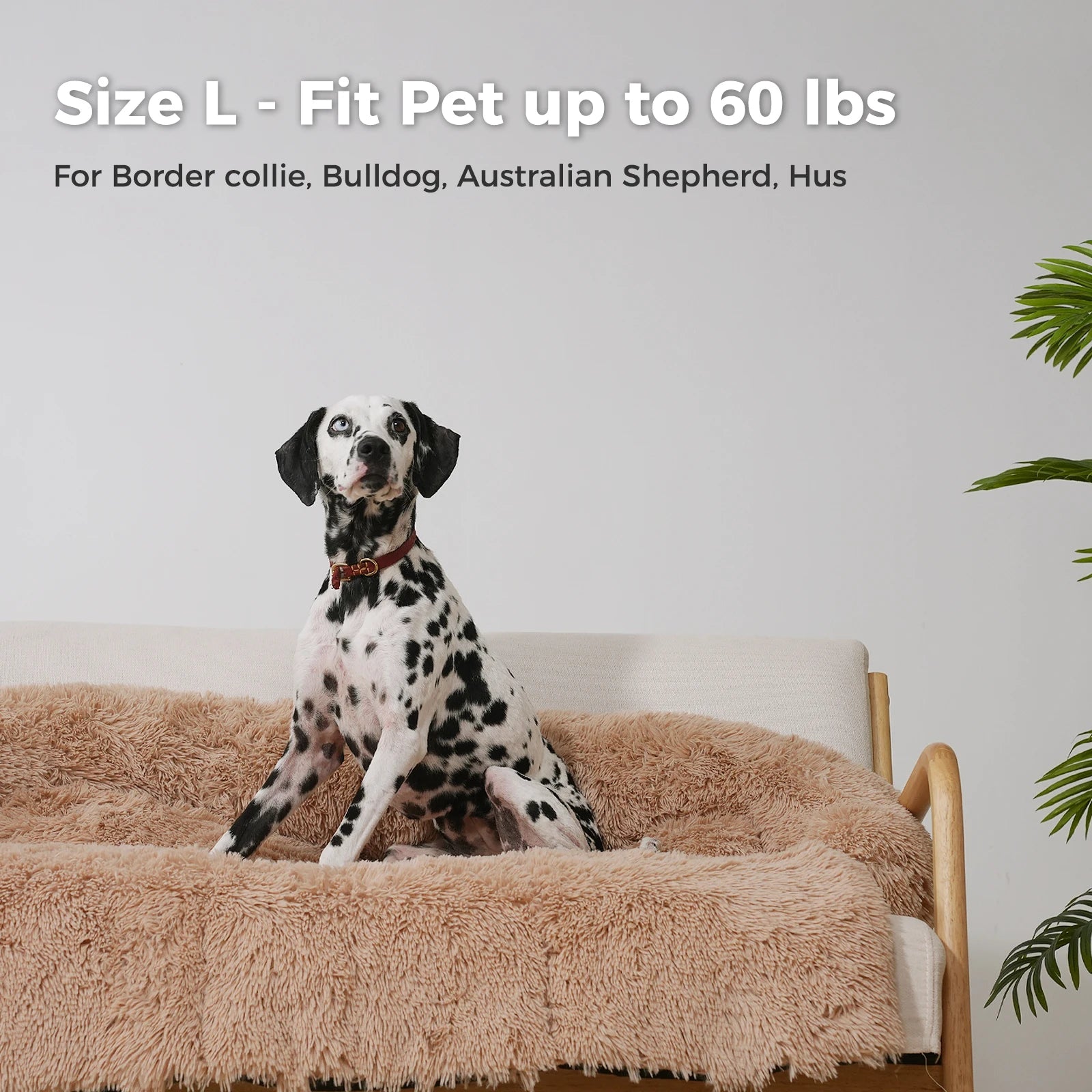 SnugglePaws Self-Heating Dog Mat