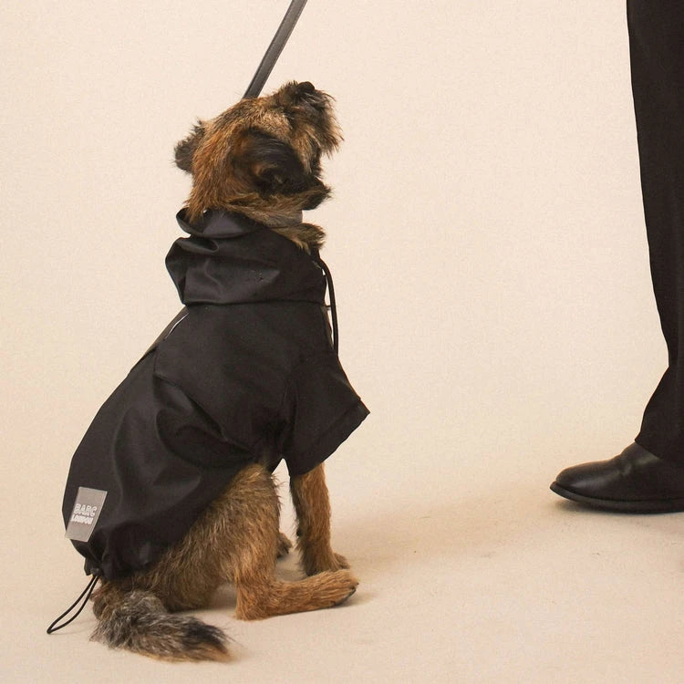 Product image for Barc London's dog raincoat: A dog wearing the raincoat sitting on the ground.