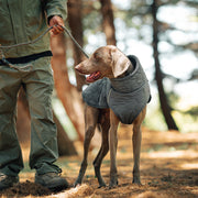 A dog wearing a dog warm coat stands in the woods.