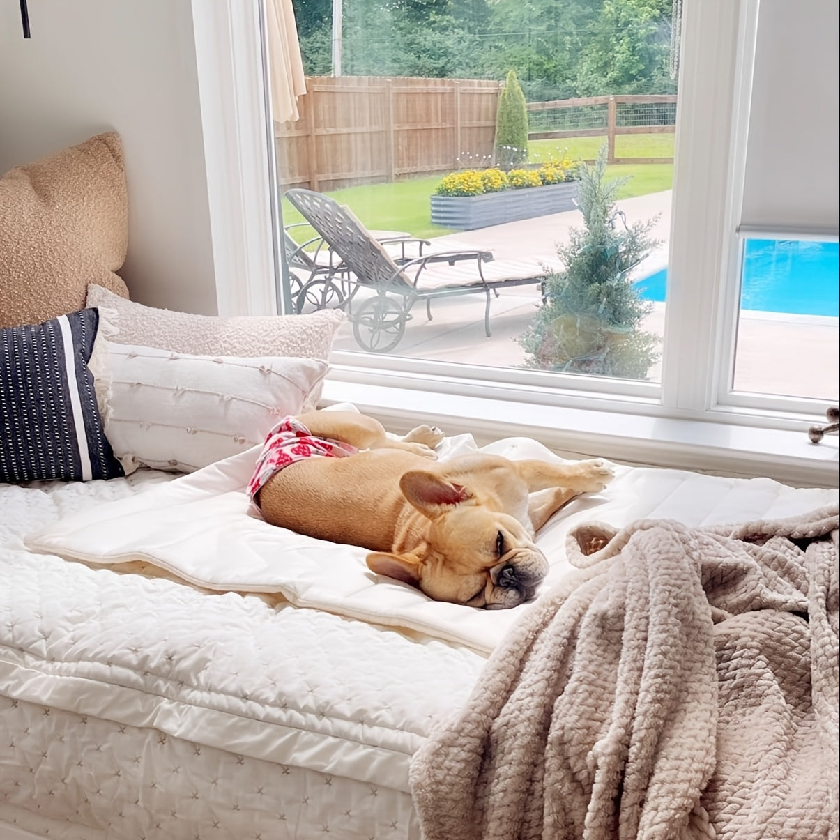 CoolPaws Cooling Pet Mat